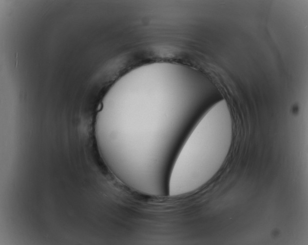 X0000102220559200807250748