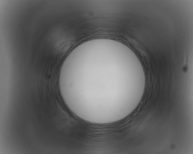 X0000102220560200807250748