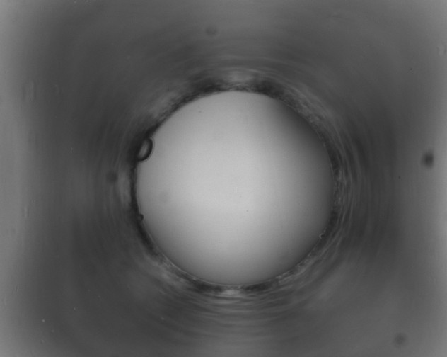 X0000102220562200807250748