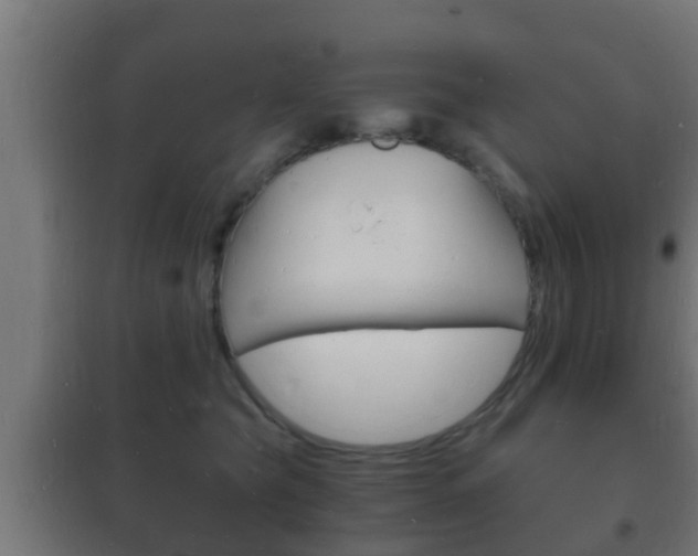 X0000102220565200807250748