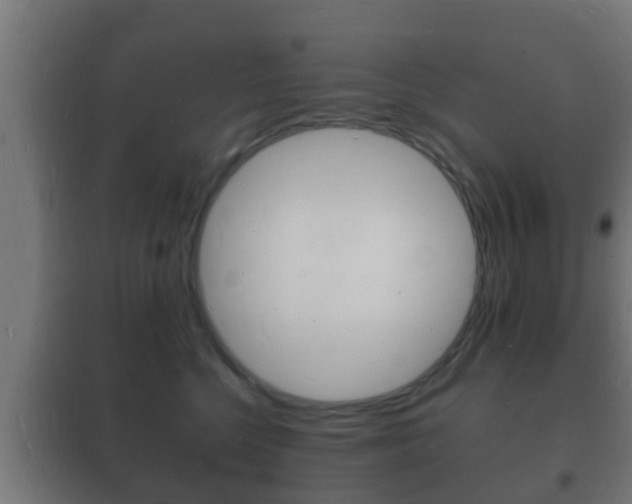 X0000102220568200807250748