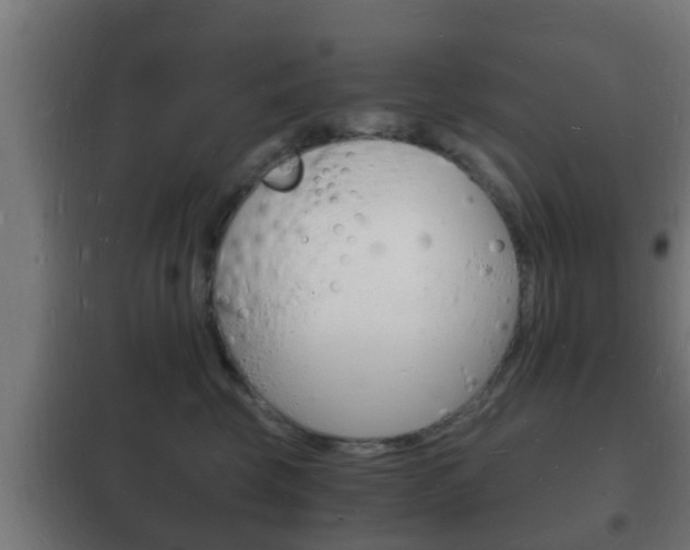 X0000102220569200807250748