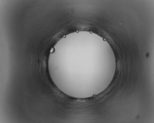 X0000102220570200807250748