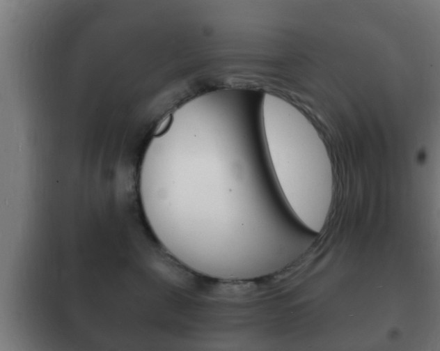 X0000102220571200807250749