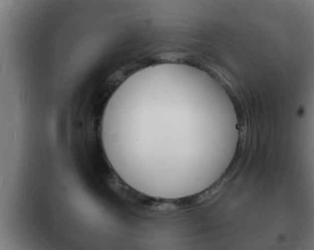 X0000102220572200807250749