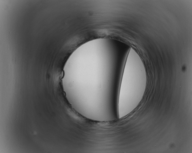 X0000102220574200807250749