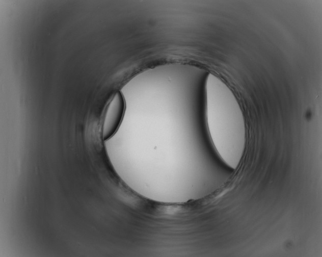 X0000102220575200807250749