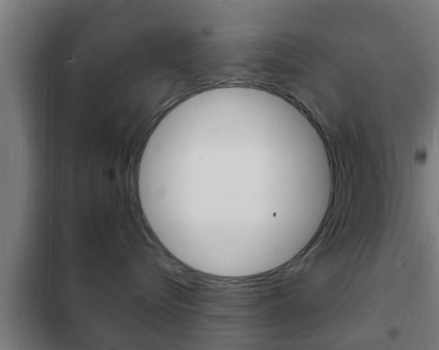 X0000102220576200807250749