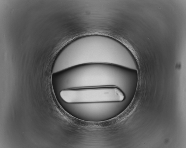 X0000102220577200807250748