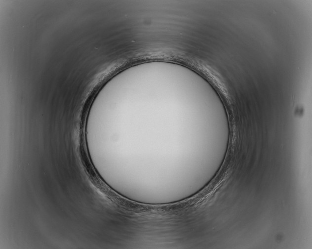X0000102220578200807250748