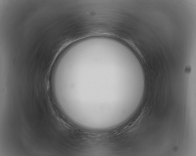 X0000102220579200807250748