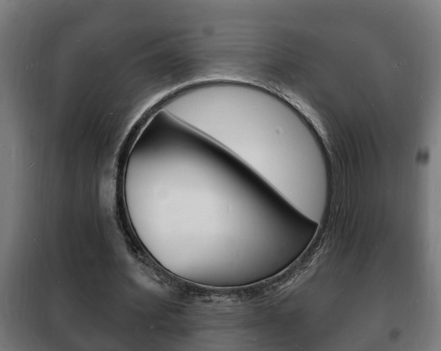 X0000102220580200807250748
