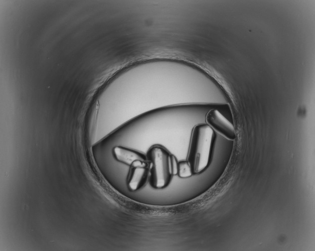X0000102220581200807250748
