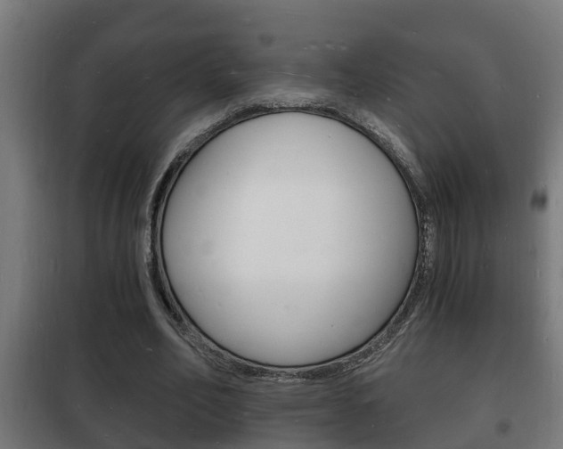 X0000102220582200807250748