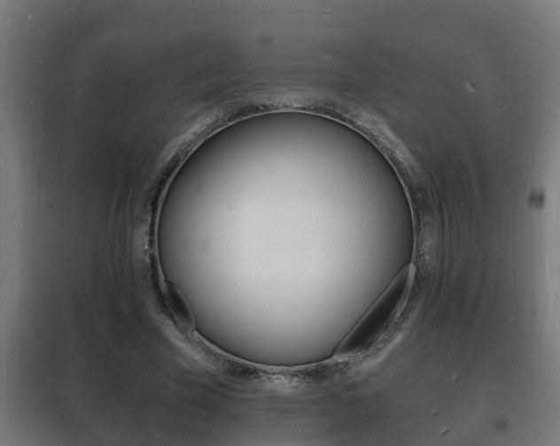 X0000102220585200807250748