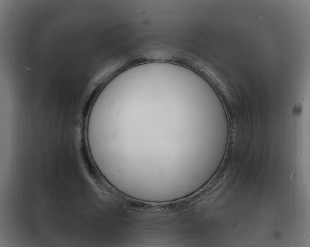X0000102220586200807250748
