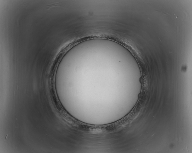 X0000102220587200807250748