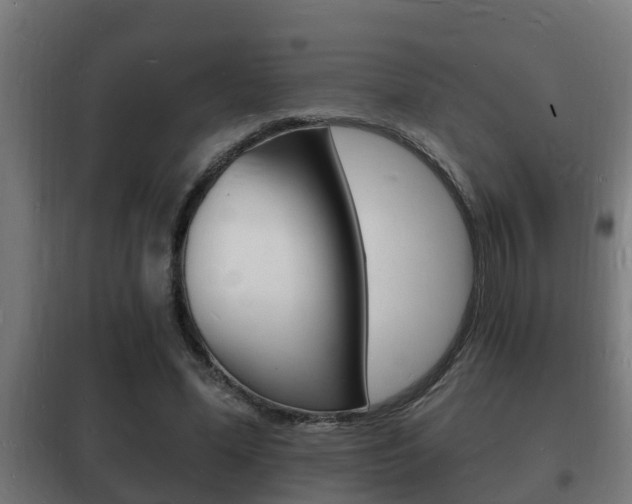 X0000102220588200807250748