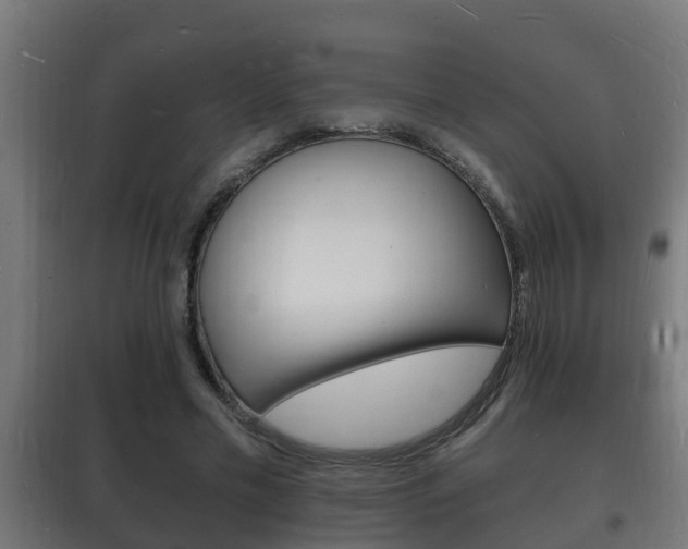 X0000102220589200807250748