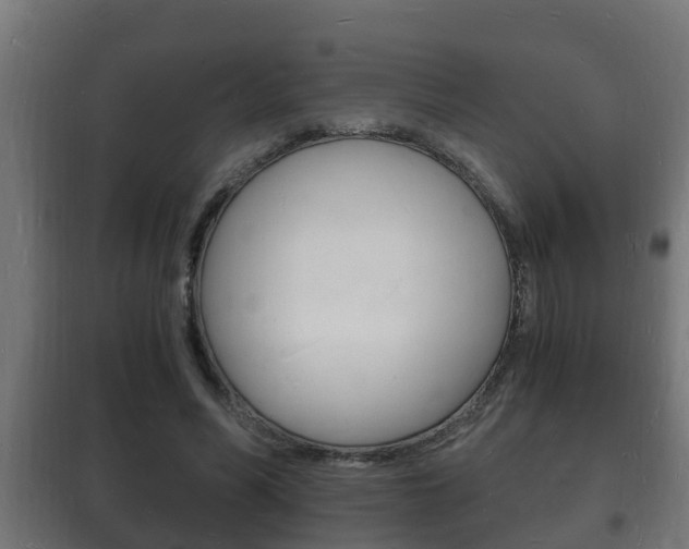 X0000102220590200807250748