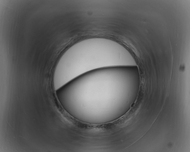 X0000102220593200807250748