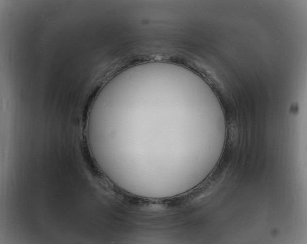 X0000102220594200807250748