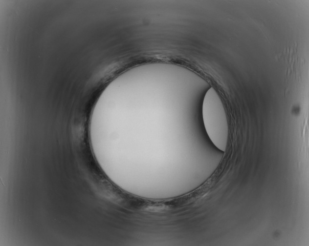 X0000102220595200807250748
