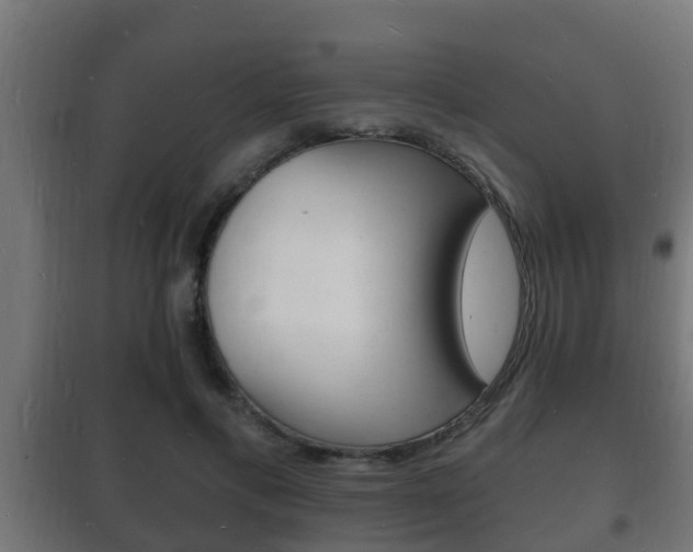 X0000102220597200807250748