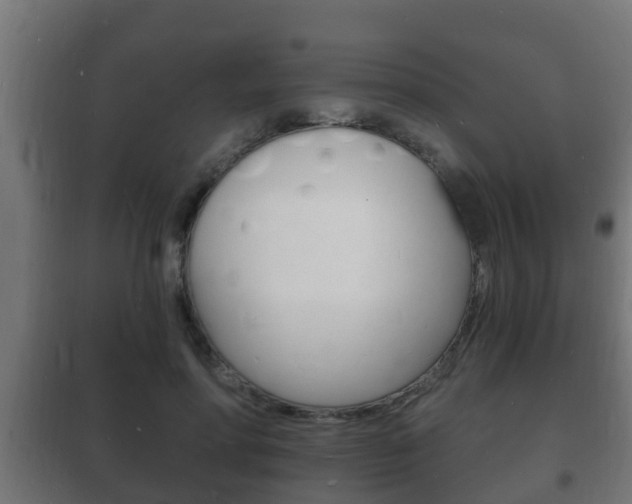 X0000102220598200807250748