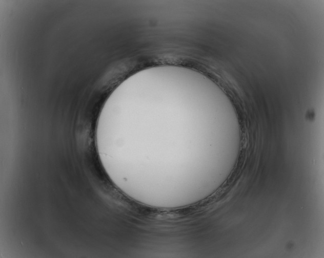 X0000102220599200807250748