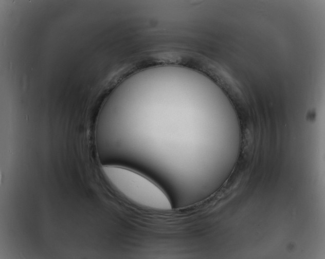 X0000102220600200807250748
