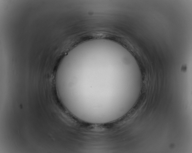 X0000102220601200807250747