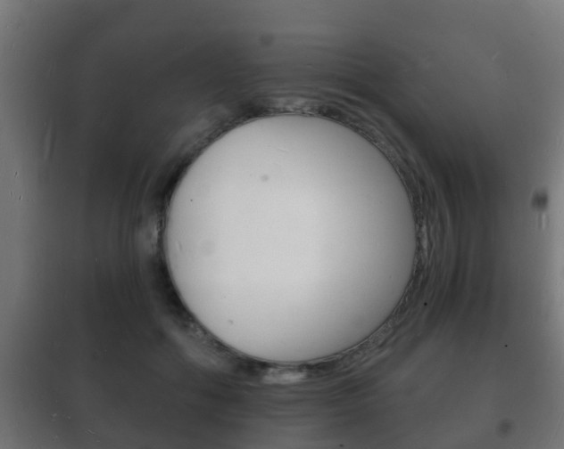 X0000102220602200807250747