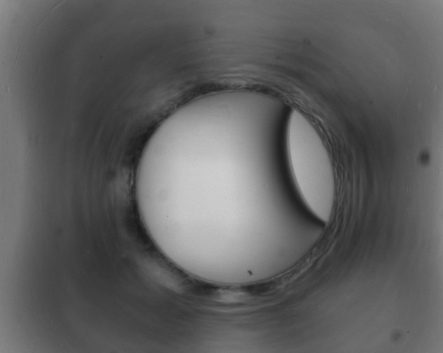 X0000102220605200807250747