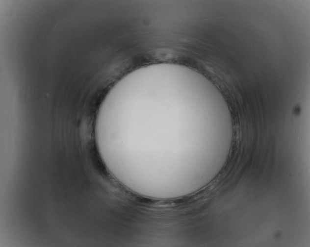 X0000102220606200807250747