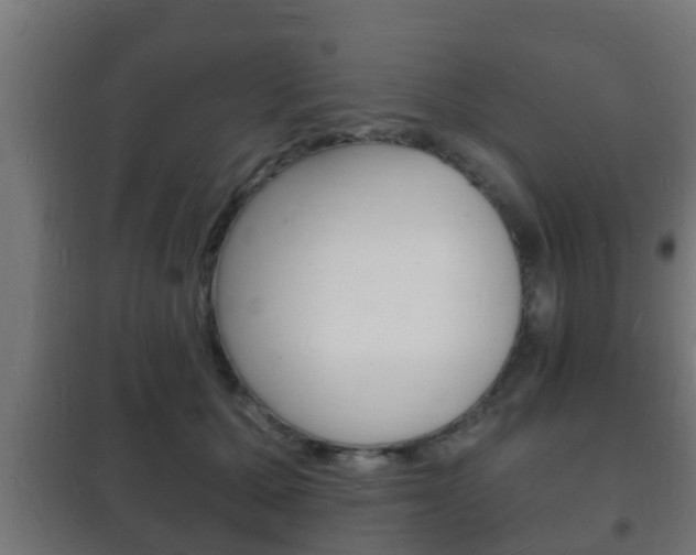 X0000102220607200807250747