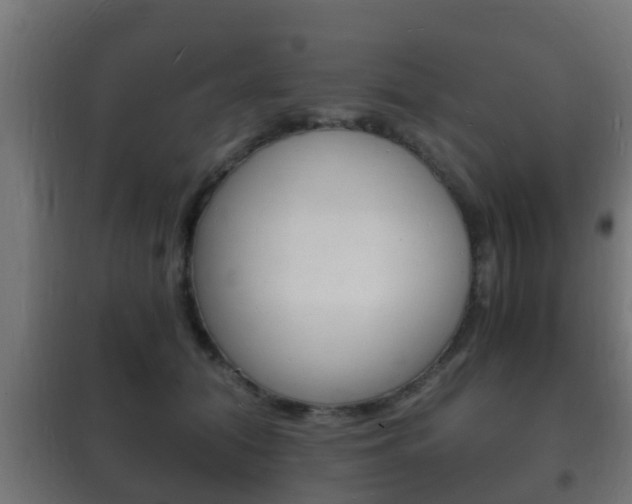 X0000102220608200807250747