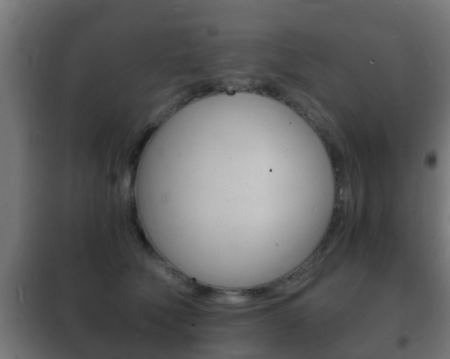 X0000102220610200807250747