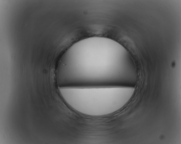 X0000102220612200807250747
