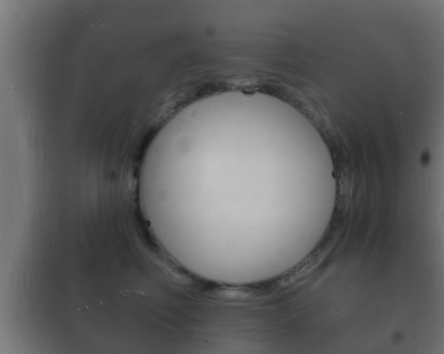 X0000102220614200807250747