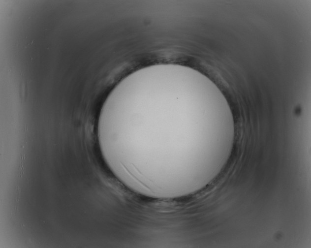 X0000102220615200807250747