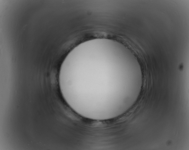 X0000102220616200807250747