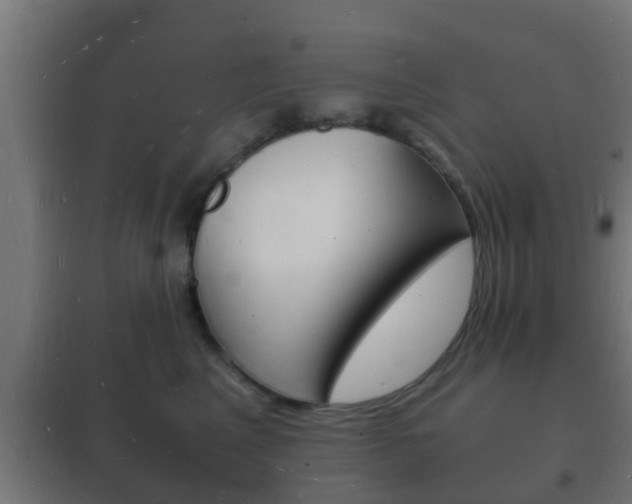 X0000102220617200807250747