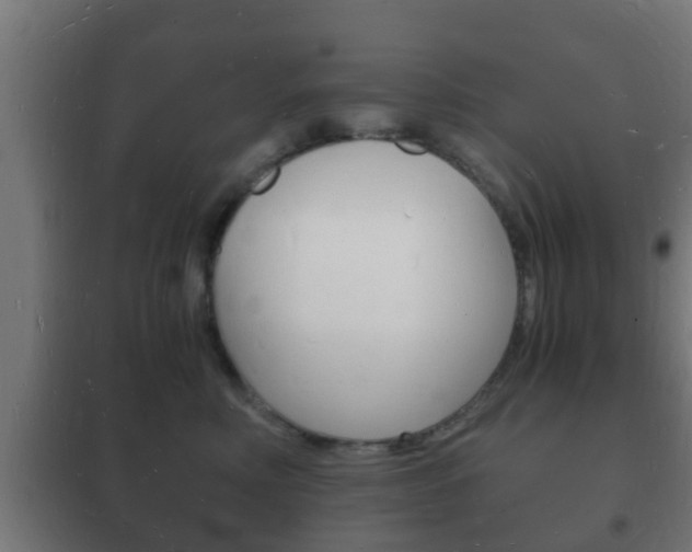 X0000102220618200807250747