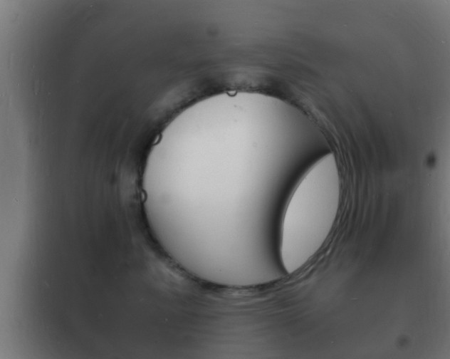 X0000102220619200807250747