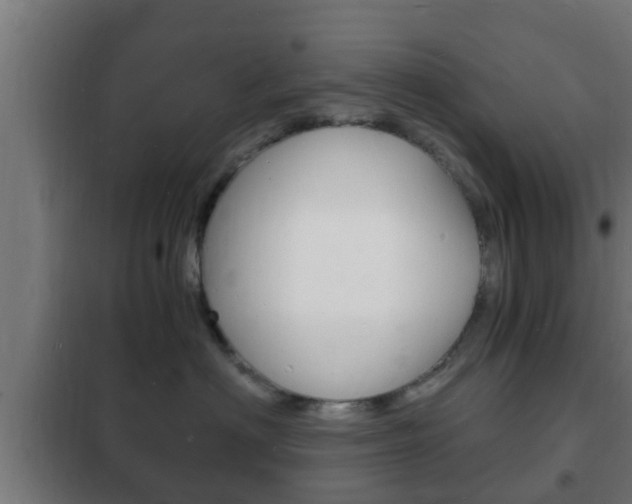 X0000102220622200807250747