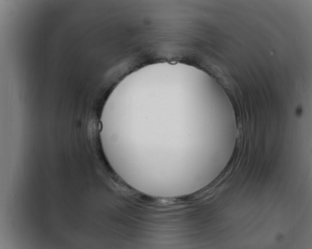 X0000102220623200807250747