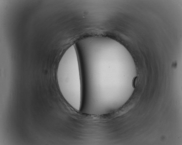 X0000102220624200807250747