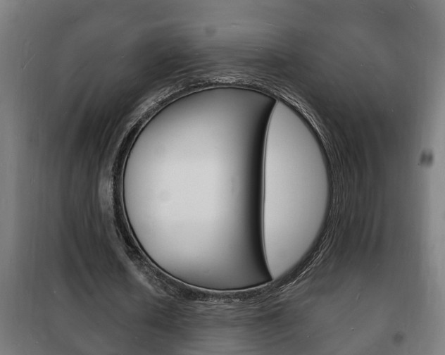 X0000102220626200807250747