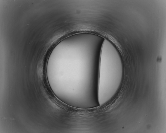 X0000102220627200807250747